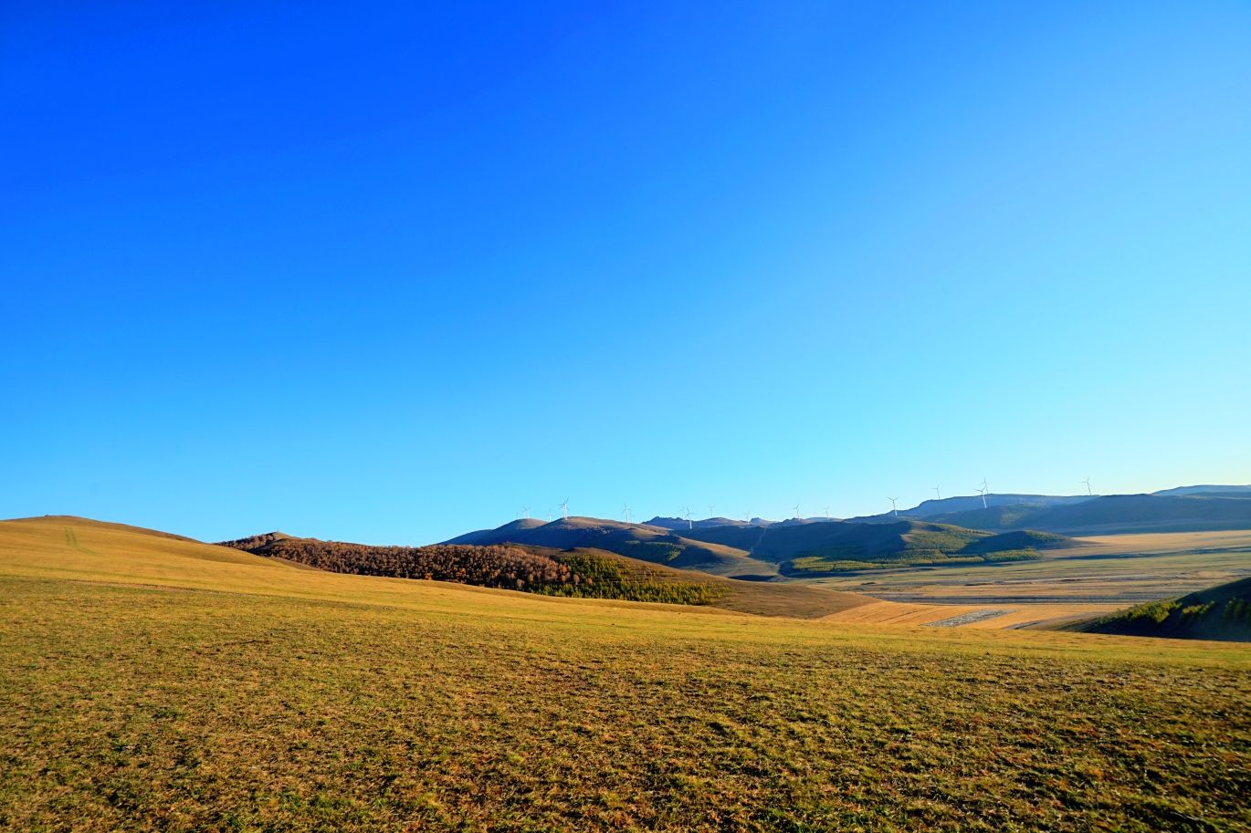 十一丰宁坝上秋意浓